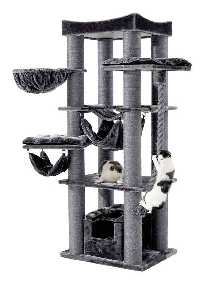 Nobby Kratzbaum Rubi